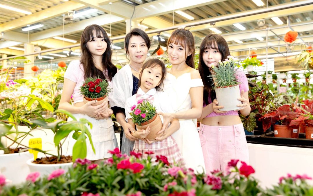 有女初長成 芭比合體有望？小芭比轉戰打造《旋轉花市》一年有成！