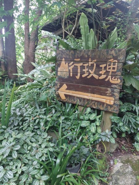 苗栗南庄秘境-與山林為舞，遠離塵囂的秘密花園
