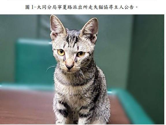 萌貓大街迷途記/大同警巡邏熱心  助喵星人返家