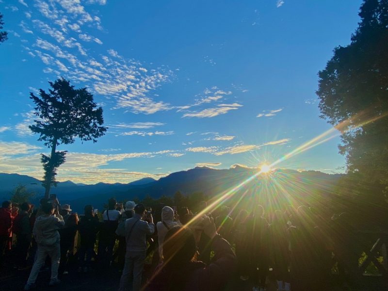 2025元旦跨年 阿里山林鐵觀日列車自12月10日起開始預售