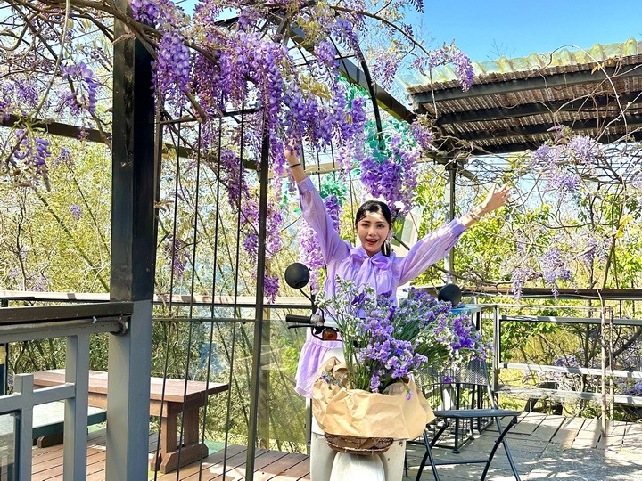 療癒女聲楊淨宇赴瑞里紫藤花季演出  趁空檔暢遊海鼠山 品咖啡、享用特色餐