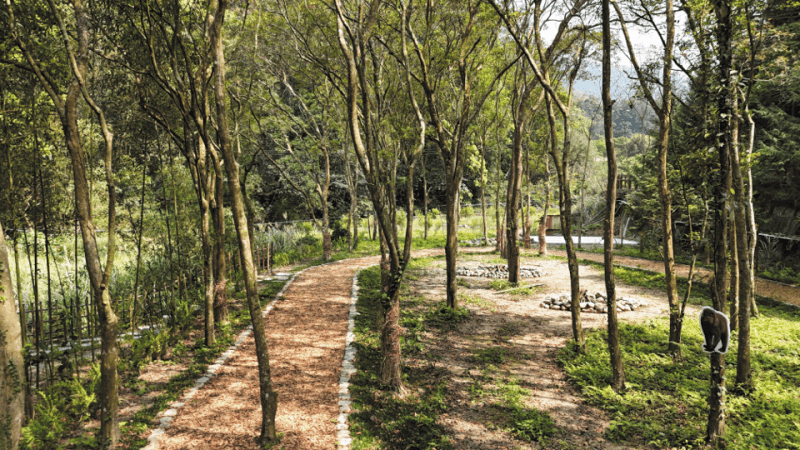 品味三工慢生活 南庄獵人學校食農基地獲優良農建佳績