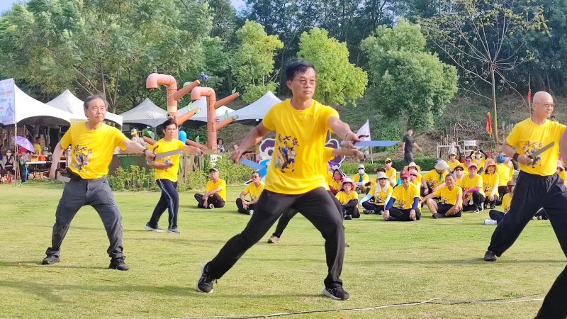 114年度運動 i 臺灣2.0 2025西螺七崁武術嘉年華 深耕培力展新猷