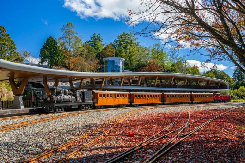 天涼好個秋！阿里山季節限定蒸機賞楓列車11月18日開放訂票