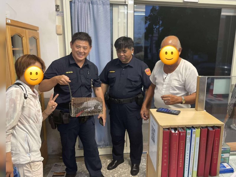 灰鸚鵡走失街頭  朴警熱心協助助團圓