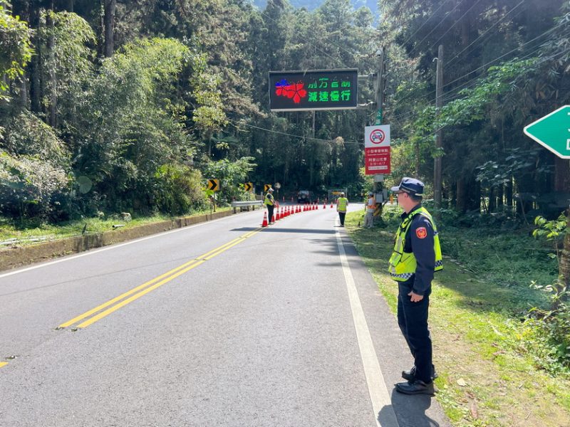 115年阿里山花季登場  嘉縣警局籲請賞花民眾配合交通管制措施